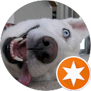 Liane Naumann profile picture